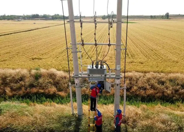 配電箱助力“電力?！报D農(nóng)民有了“電力?！碑a(chǎn)業(yè)發(fā)展質(zhì)效